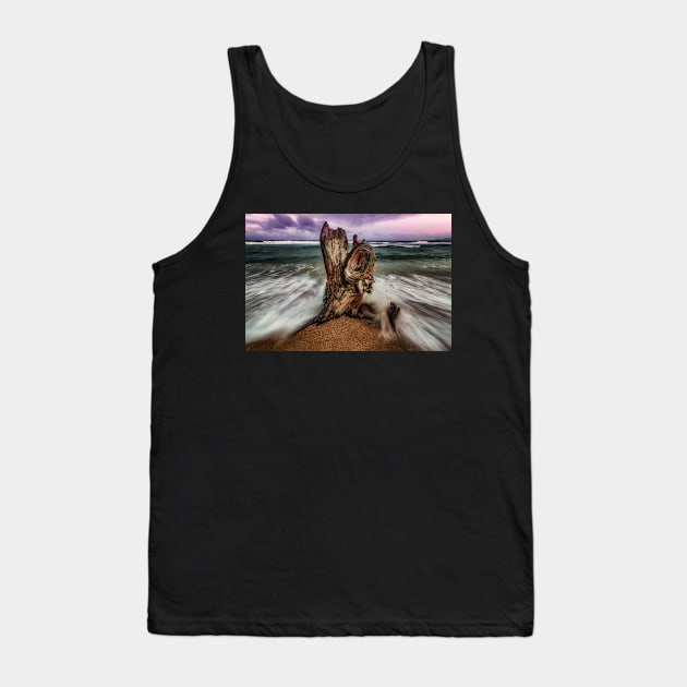 A Battered Tree Stump Tank Top by JeffreySchwartz